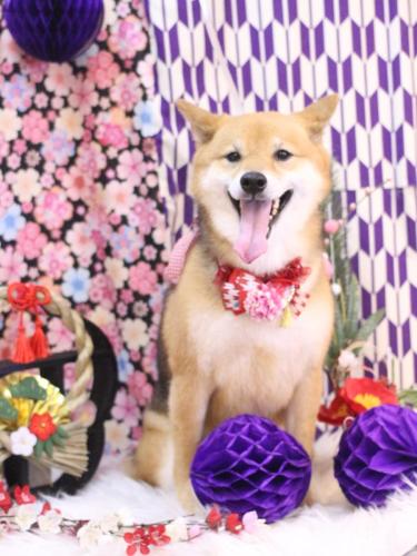 20250122リンちゃん